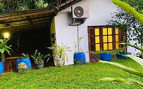 Sachi'S Place